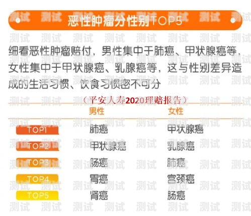 探寻敢探号的真实姓名敢探号订单管理与分销系统