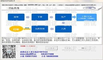 探索敢探号平台充值的奥秘敢探号订单管理与分销系统