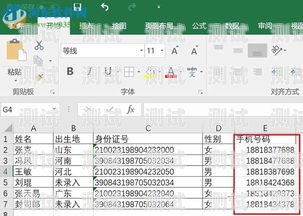 172 号卡详细解析172号段是什么卡