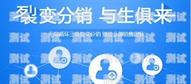 172 号卡系统分销，创新模式与商业机遇172号卡系统分销一级代理