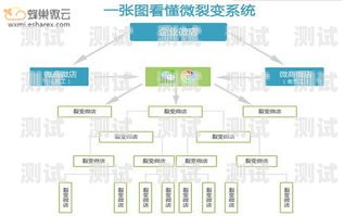 172 号卡分销系注销，合规与整顿的必然之举号卡分销系统