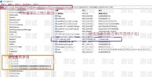 172 号卡分销系统管理员，保障系统稳定与高效的关键角色号卡分销系统搭建