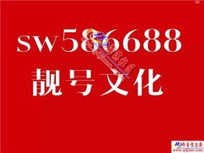 探索手机靓号的多样销售渠道手机靓号销售渠道有哪些