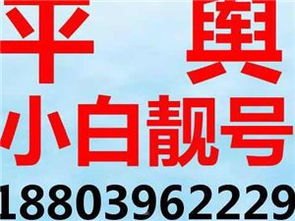 探索手机靓号的多样销售渠道手机靓号销售渠道有哪些