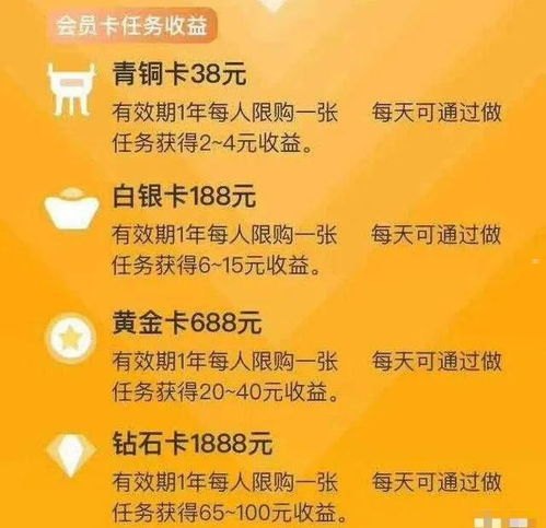 会员卡推广攻略，提升品牌影响力与客户忠诚度如何推广会员卡赚钱