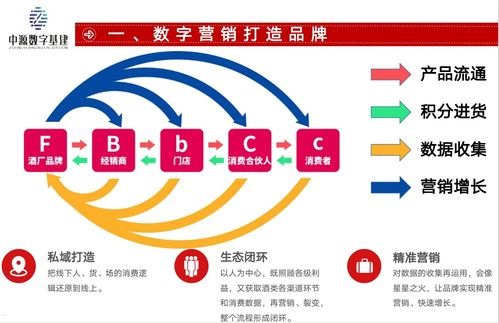 掌握流量推广技巧，提升网站曝光度怎么做流量推广视频发到b站上