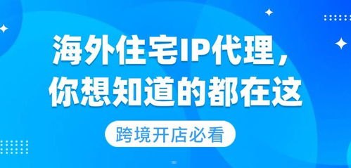 流量卡代理，实现网络自由的新途径流量卡代理介绍怎么写