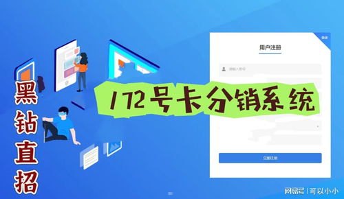 靓号分销，市场潜力与挑战靓号分销代理