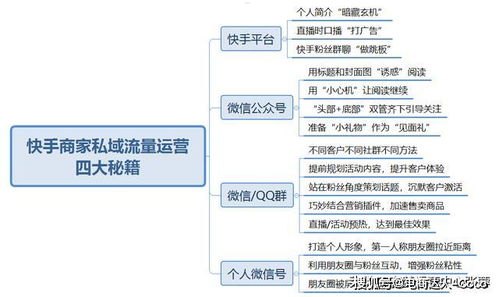 流量运营推广的策略与方法流量运营推广工作内容