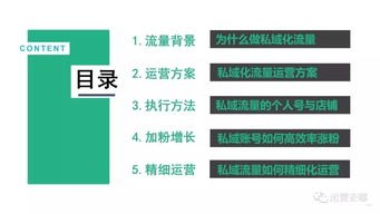 流量运营推广的策略与方法流量运营推广工作内容