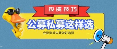 三网大流量卡代理，畅享无限流量的商机与挑战三网大流量卡代理多少钱