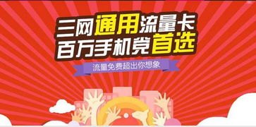 三网大流量卡代理，畅享无限流量的商机与挑战三网大流量卡代理多少钱