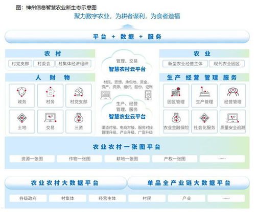 探索 91 号卡分销平台，数字时代的创新与机遇91号卡分销平台供应商