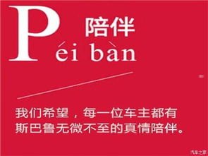 探索手机靓号代理的广阔世界手机靓号代理渠道有哪些