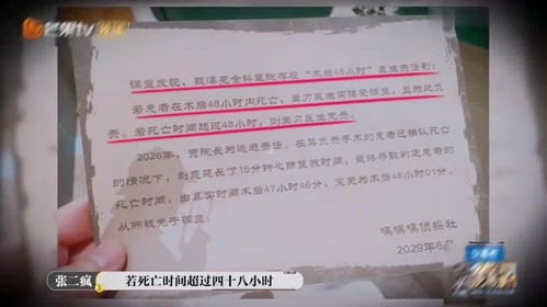 敢探号一级供应商，探索创新与卓越品质的引领者敢探号一级供应商代码