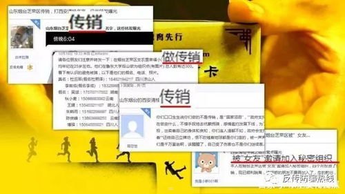 172 号卡分销系，传销的新形式？172号卡分销系统官网app