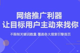 流量推广运营，打造成功的互联网业务流量推广运营公司