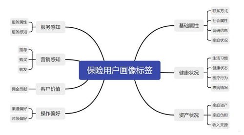 流量代理平台，助力数字营销的利器流量代理平台哪个好