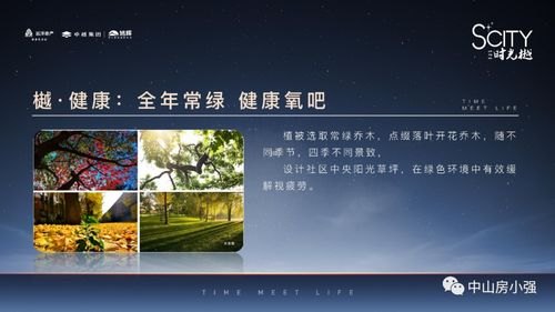 流量推广产品的关键策略与方法流量推广产品怎么做