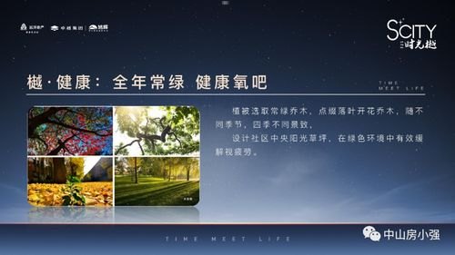 代理手机靓号能否成为赚钱的途径？代理手机靓号挣钱吗现在