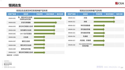 敢探号供应商一级代码，创新与合作的基石敢探号订单管理与分销系统