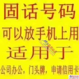 靓号一级代理，数字时代的通信新选择靓号一级代理什么意思