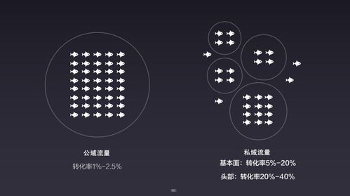 探索流量推广公司的奥秘流量推广公司运营模式