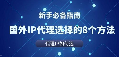 免费流量代理，合法、风险与最佳实践免费流量代理app