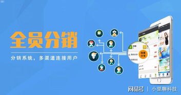 卡号分销系统的优势与应用卡号分销系统搭建