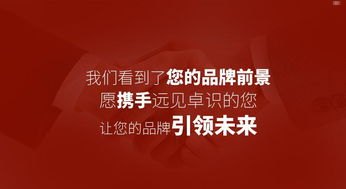 流量平台推广，提升品牌知名度与业务增长的关键策略流量平台推广怎么做