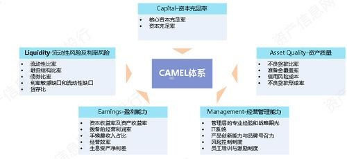 极团号卡分销系统，创新的通信分销模式极团号卡分销系统破解版