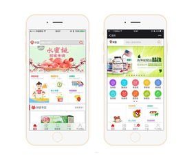 号卡分销源码，实现灵活分销的利器号卡分销源码对接敢探号