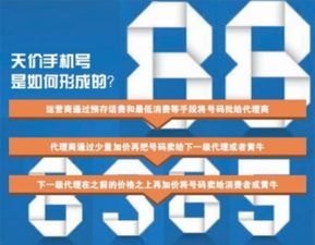 靓号一级代理，数字时代的独特价值与商机靓号一级代理什么意思