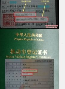 探索敢探号供应商的奥秘敢探号供应商代码