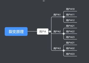 敢探号供应商一级代码，探索创新的关键敢探号订单管理与分销系统