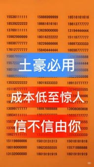 165 靓号代理，数字时代的时尚选择165靓号营业厅怎么代理