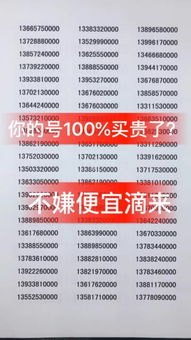 165 靓号代理，数字时代的时尚选择165靓号营业厅怎么代理