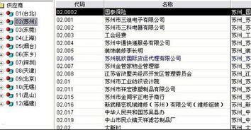 探索敢探号供应商一级代码的奥秘敢探号订单管理与分销系统