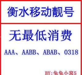 开启手机靓号代理的财富之门加盟手机靓号代理怎么样