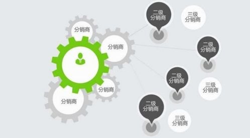 共创卡号分销系统，创新模式下的商业合作与共赢共创卡号分销系统官网