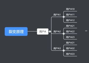 敢探号供应商一级代码，探索创新的关键敢探号订单管理与分销系统