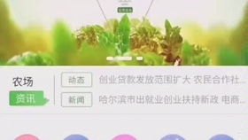 免费流量推广，解锁增长密码的关键策略免费流量推广渠道