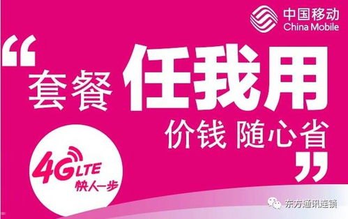畅享无限流量，畅游数字世界！流量卡推广文案简短