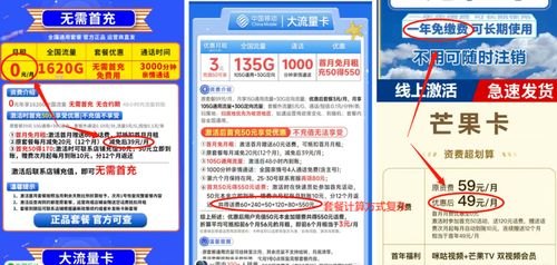 探索流量卡代理平台的奥秘流量卡代理平台排名前十