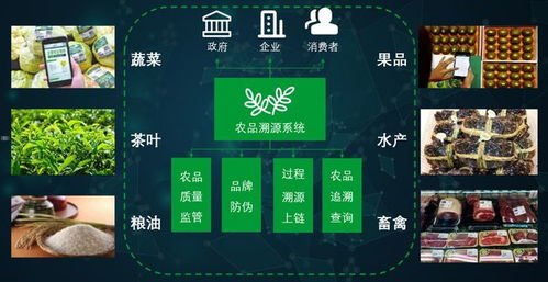 探索号卡极团分销系统的无限潜力号卡极团分销系统源码