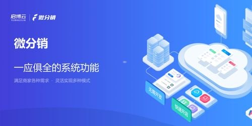 专业号卡推广平台，助力企业数字化营销的新利器专业号卡推广平台有哪些