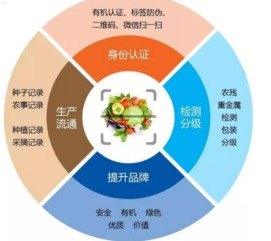 流量卡分销渠道的多样性与发展流量卡分销渠道有哪些