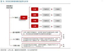 敢探号分销，探索创新的分销模式敢探号分销系统