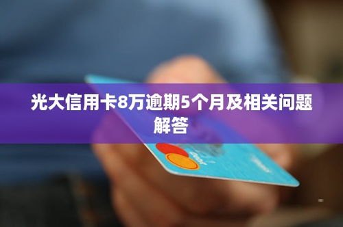 国 5 号卡分销系统，创新模式助力商业发展