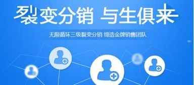 流量卡代理分销平台，开启无限商机的新途径流量卡代理分销平台有哪些